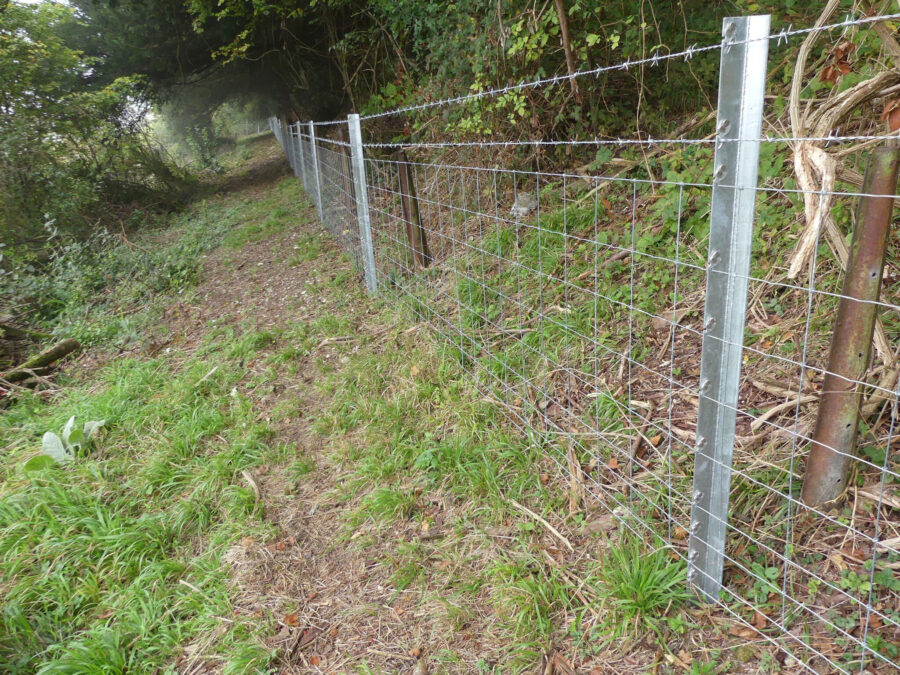 National Trust - Out With The Old In With The New