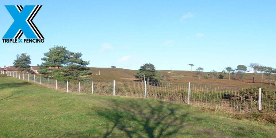 Cattle Fence - Triple X fencing