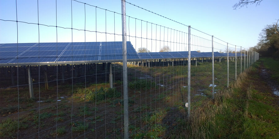 Deer Fence - Triple X Fencing