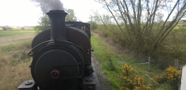 Triple X is Steaming Ahead