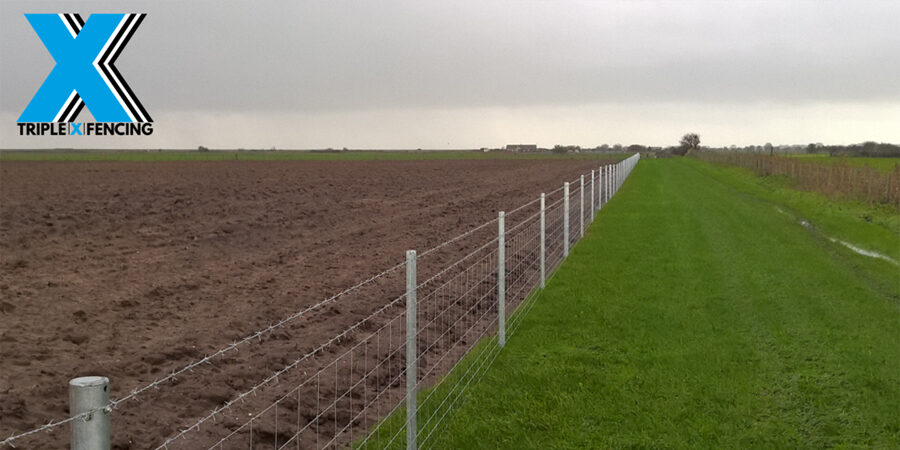 Livestock Fence - Triple X Fencing
