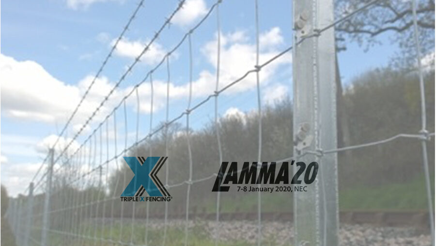 McVeigh Parker Showcasing Triple X at Lamma 2020