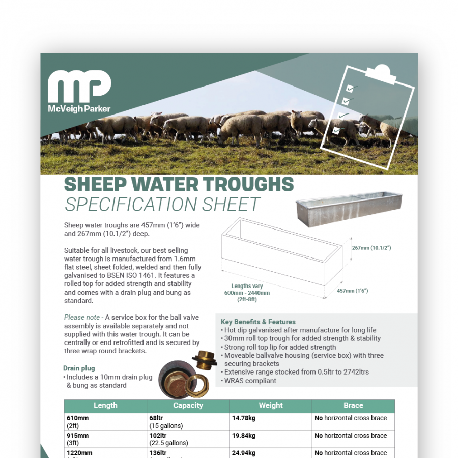 Sheep Water Trough