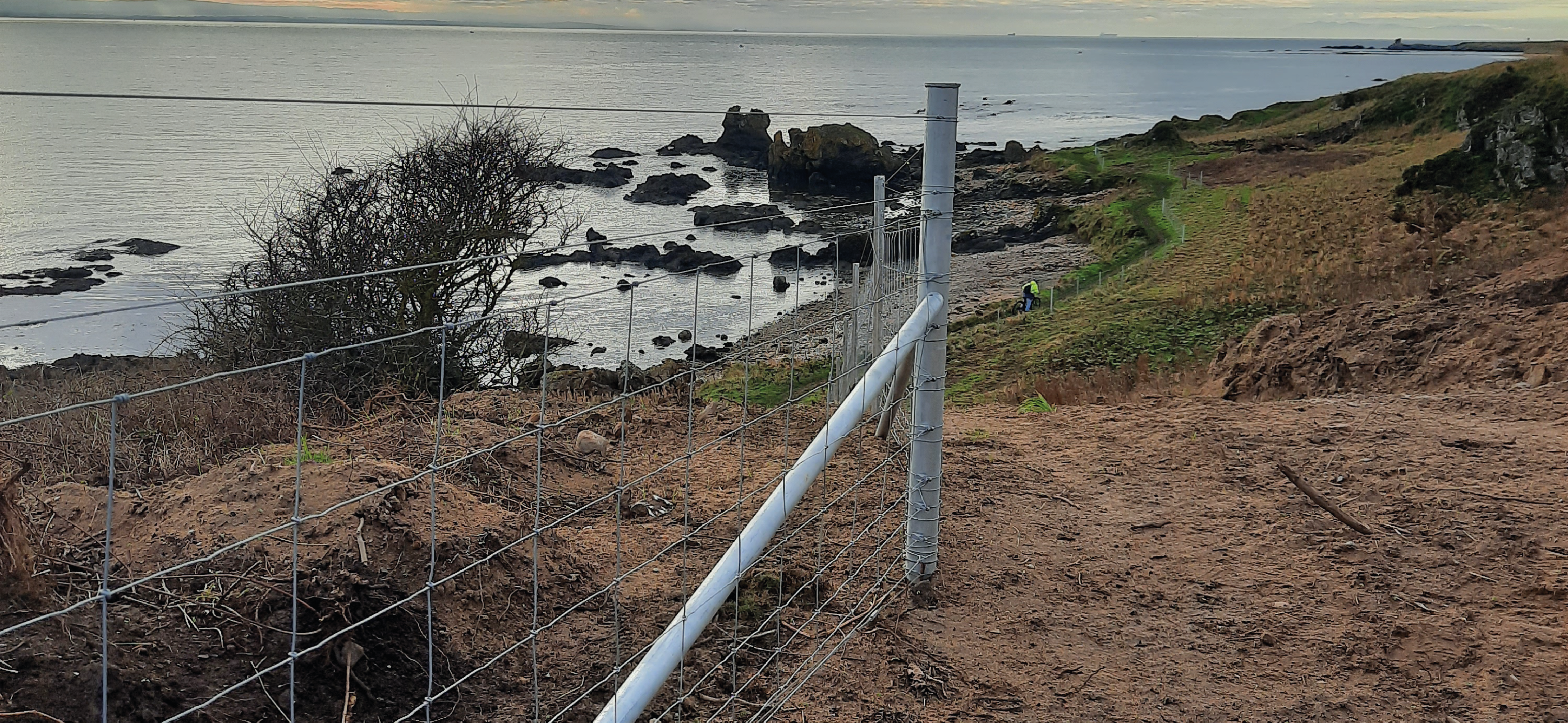 Deer Fencing