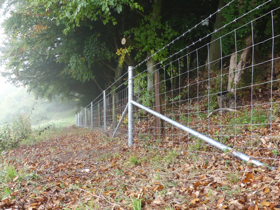 Important new Countryside Stewardship fencing guidelines announced