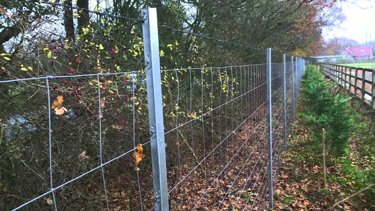 McVeigh Parker Clipex and X Fence Showcase