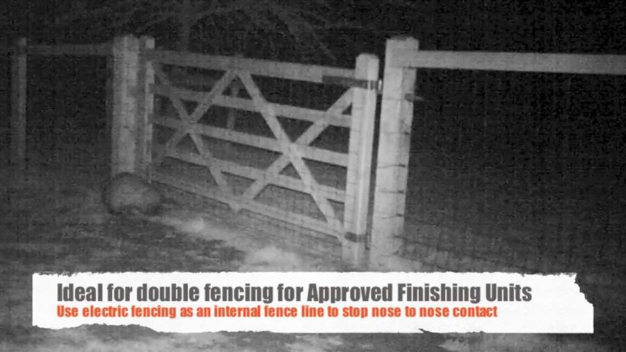 Badger Fencing from McVeigh Parker used in TB Prevention Trials at Bicton College