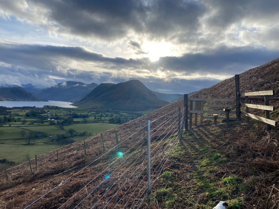 Triple X Fence in the Fells