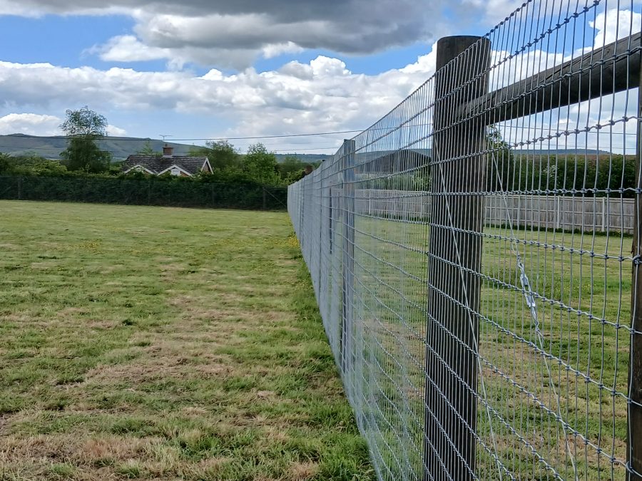 Turning challenging ground into a top-quality dog field